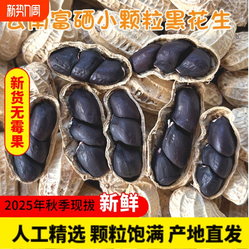 云南黑皮花生黑花生黑带壳富硒2025年普洱特产米水果新货原味散装