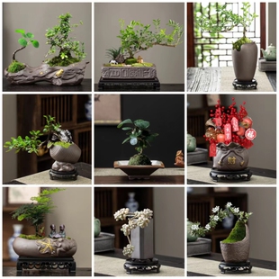 仿古复古室内室外创意盆景异形花盆小号特大号紫砂陶瓷绿植物台桌