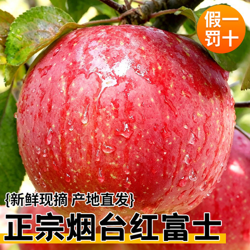 烟台苹果新鲜水果正宗红富士当季整箱鲜苹果批发10斤栖霞脆甜苹果