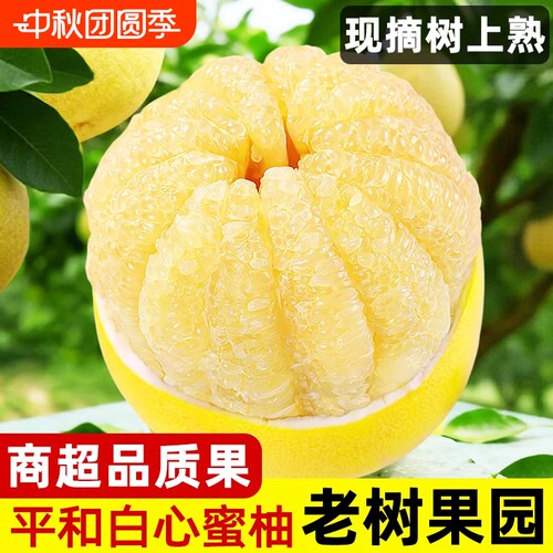 福建平和白心蜜柚新鲜当季水果孕妇水晶白肉柚子葡萄琯溪整箱包邮