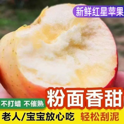 粉面沙甜苹果现摘新鲜红星苹果