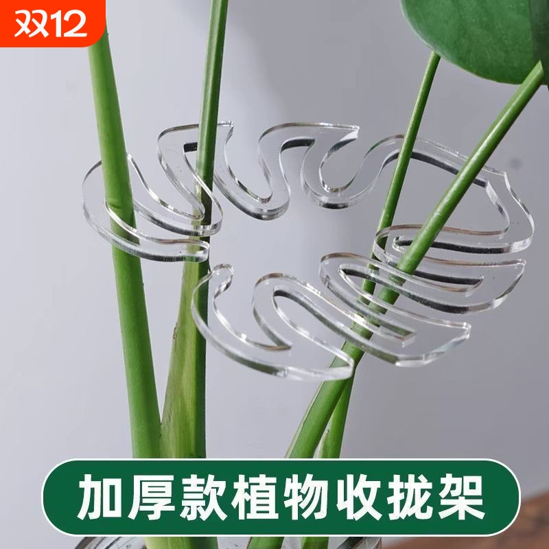 龟背竹防倒伏支架|超2000次加购