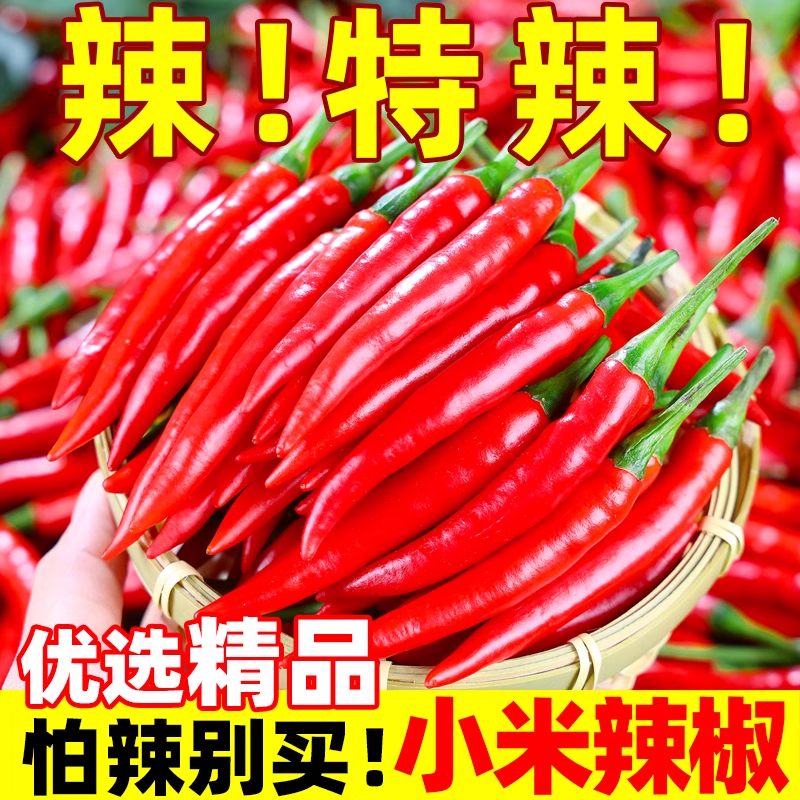 小米辣椒新鲜5斤农家自种现摘朝天椒薄皮辣椒特辣指天椒小米椒,水产肉类/新鲜蔬果/熟食,辣椒,淘宝优惠券,粉丝福利购,淘宝优惠卷
