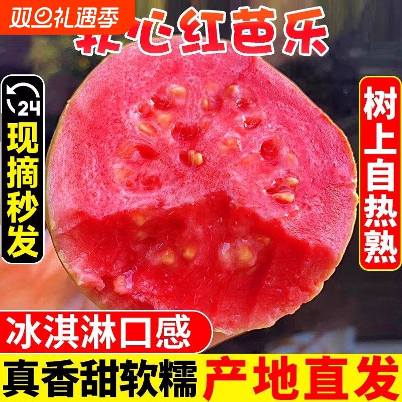 福建软糯红心芭乐5斤新鲜水果番石榴脆甜胭脂红巴乐整箱包邮南方