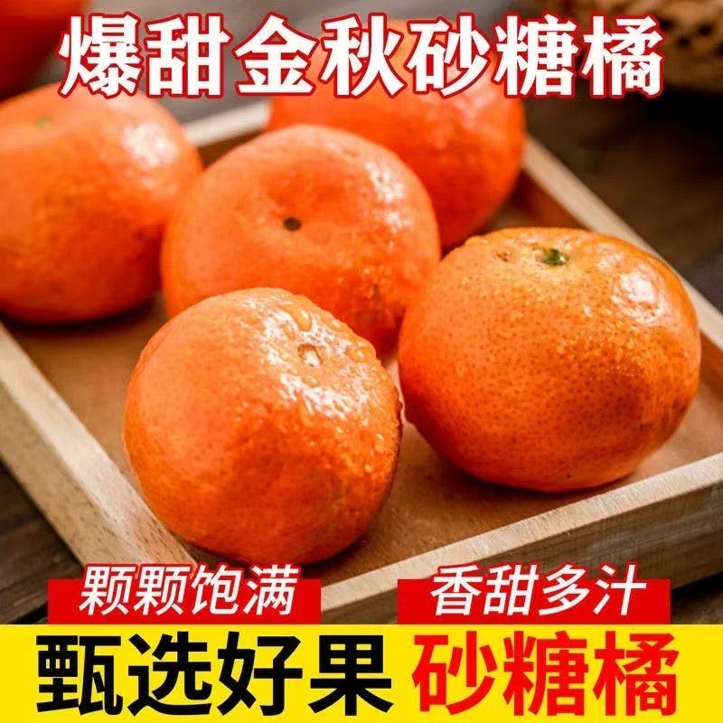 广西砂糖橘当季新鲜水果桔子皮薄多汁采摘整箱橘子柑橘金秋甜蜜