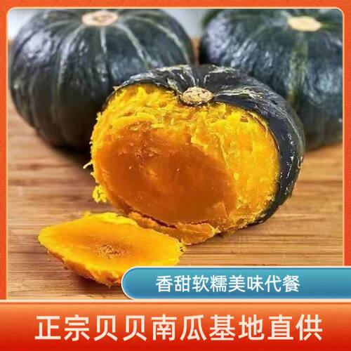 正宗新鲜贝贝南瓜粉糯香甜板栗味营养宝宝辅食粗粮