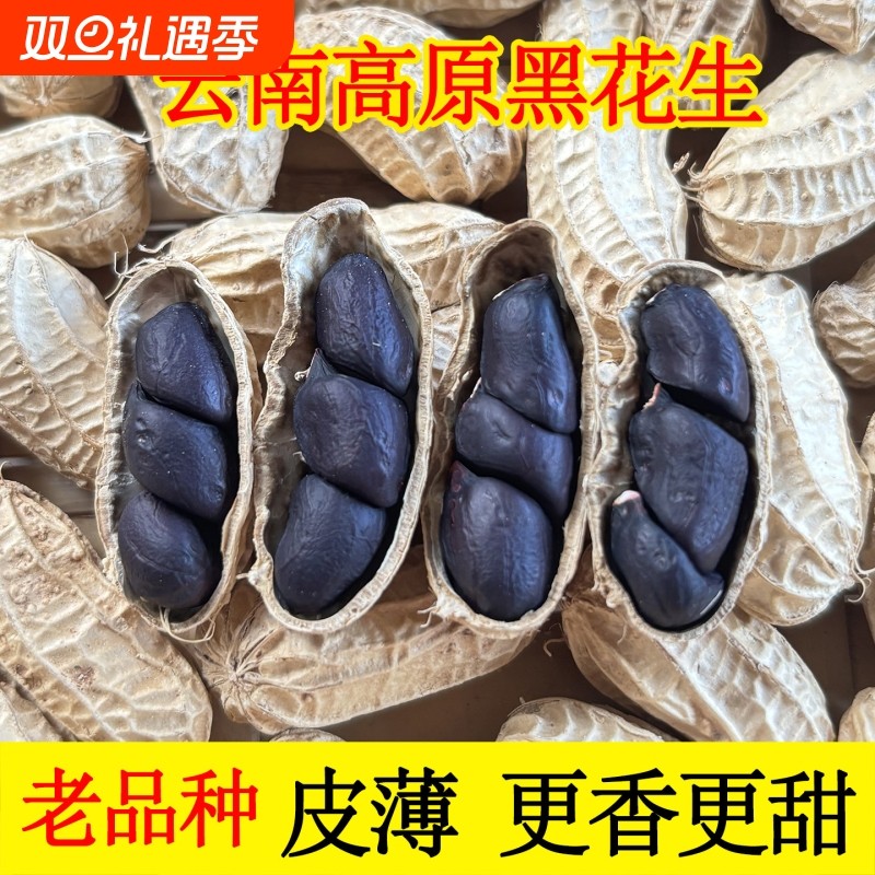 新货云南富硒黑花生老品种黑衣花生小粒黑花生米黑皮晒干带壳原味