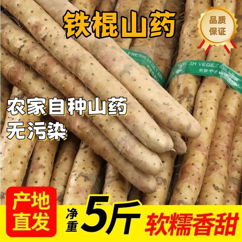 正宗现挖整箱铁棍山药新鲜蔬菜即食垆土5斤农家自种怀山药长山药