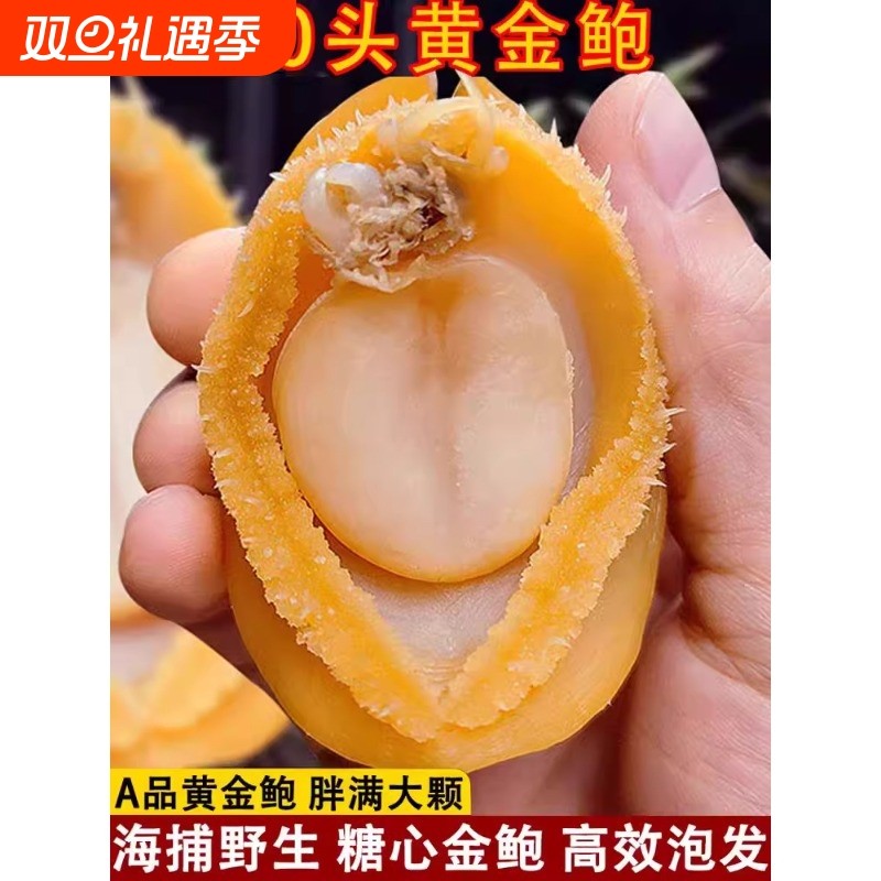 优选特级新鲜大号鲍鱼干！