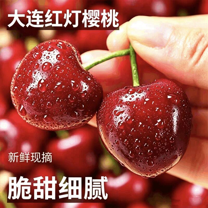 正宗大连红灯沙蜜托美早大樱桃大果当季现摘源头送礼纯甜空运超大