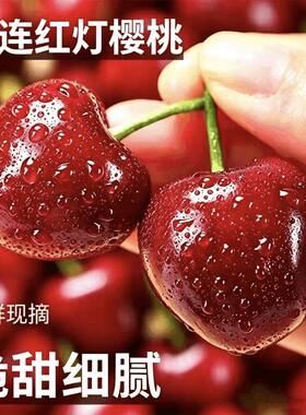 正宗大连红灯沙蜜托美早大樱桃大果当季现摘源头送礼纯甜空运超大