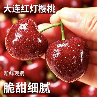 正宗大连红灯沙蜜托美早大樱桃大果当季现摘源头送礼纯甜空运超大