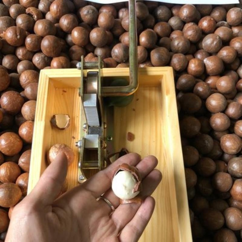 夏威夷果开壳器澳洲坚果开口器压开剥坚果工具神器核桃破壳机夹子