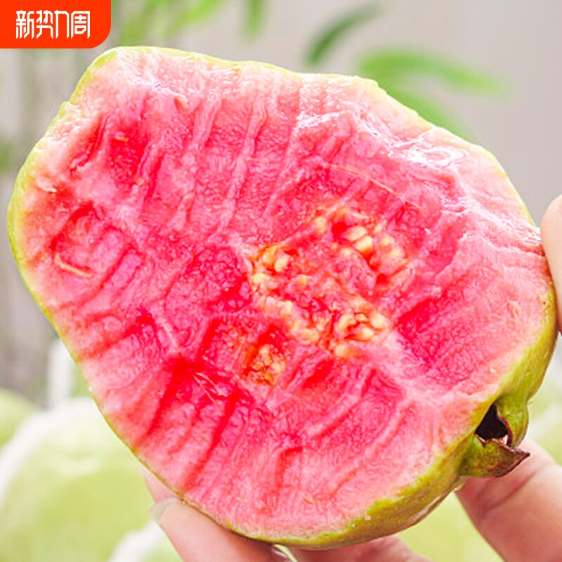 红心芭乐新鲜水果5斤低糖冰淇淋籽鸡屎果巴乐番石榴热带软糯鲜果