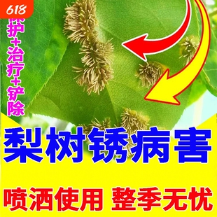 梨树锈病专用药果树炭疽病梨树病菌清黑斑黑白粉腐烂轮纹病杀菌剂