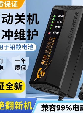 电动车电瓶车充电器自动断电二轮三轮48V60V72V20A铅酸电池通用