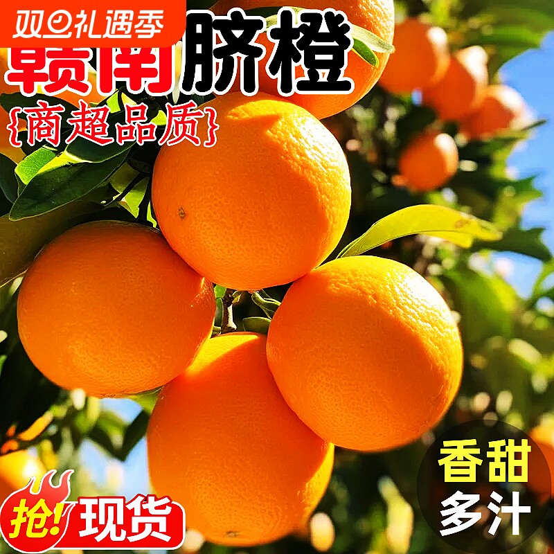 正宗赣南脐橙香甜爆汁