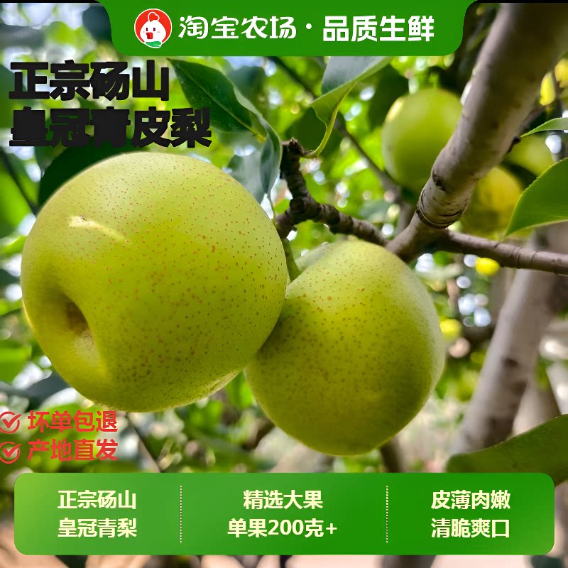 新鲜梨子正宗皇冠梨1梨应季水果脆甜多汁整箱包邮雪梨