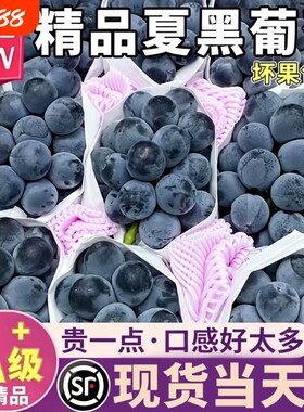夏黑葡萄5斤新鲜应当季现摘顺丰
