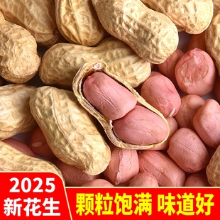 带壳生花生1斤2025年新货新鲜晒干带皮生的原味花生果非花生米仁