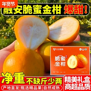 正宗广西脆蜜金柑融安金桔水果脆蜜金桔纯甜第三代5A级果王礼盒装