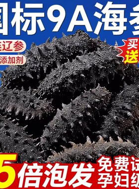 海参礼盒干货大连底播干海参辽刺参淡干辽参国标泡发深海试吃生鲜