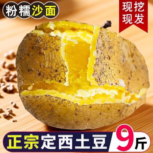 甘肃定西土豆洋芋新鲜现挖甘肃土豆马铃薯农家种净重5斤9斤高淀粉
