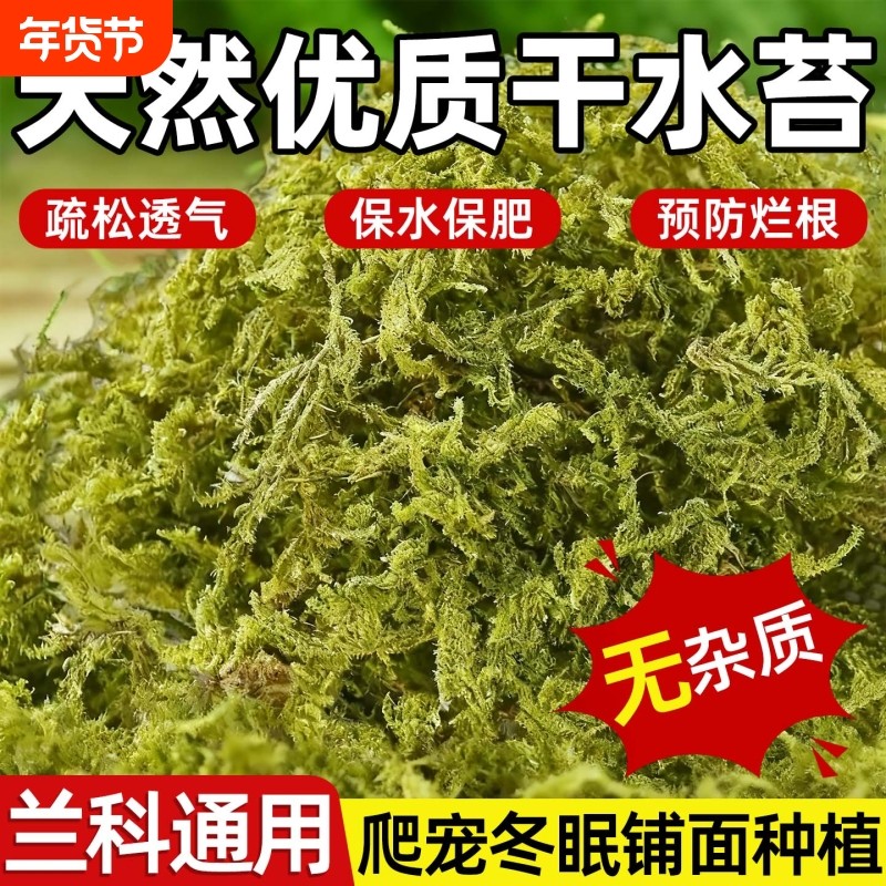 新鲜干苔藓蝴蝶兰花专用水苔青苔铁皮兰花种植育苗营养土爬宠垫材