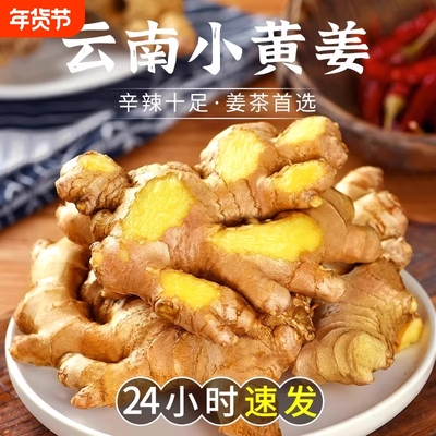特级小黄姜生姜新鲜罗平小黄姜月子姜老姜山地土姜沙姜蔬菜包邮