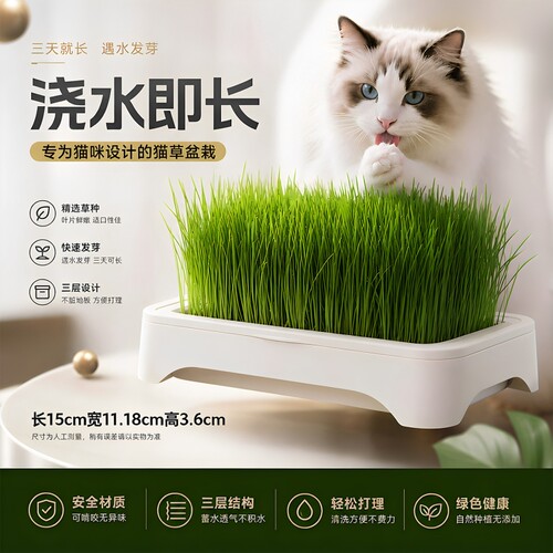 【有机鲜猫草】去毛球舒肠胃