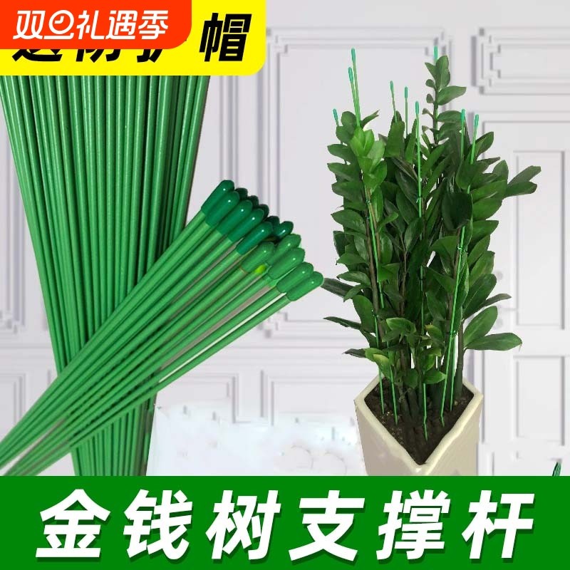金钱树支撑杆防倒伏捆绑杆