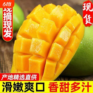 云南玉芒青皮4.5斤甜非金煌芒新鲜热带水果应季特产大芒果凯特