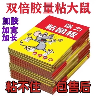 老鼠粘强力粘鼠板捕鼠神器强力胶粘大老鼠贴一窝端超强厨房家用贴