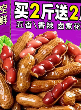 老卤花生五香带壳卤味花生