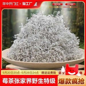 莓茶张家界特级野生官方旗舰店土家永顺龙须芽尖霉茶湖南茅岩莓茶