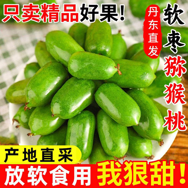 丹东软枣猕猴桃礼盒东北软枣子圆枣子水果当季奇异莓现摘