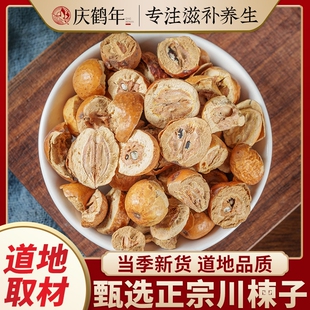 川楝子中药材正品正宗四川苦楝子果川楝子肉新鲜干货炒川楝子干果
