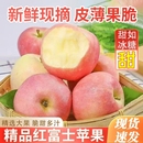 红富士苹果脆甜现摘当季 新鲜水果皮薄多汁冰糖心送礼丑苹果整箱