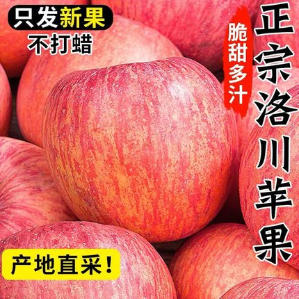陕西洛川苹果现摘现发新鲜水果脆甜红富士4.5整箱装产地直发包邮
