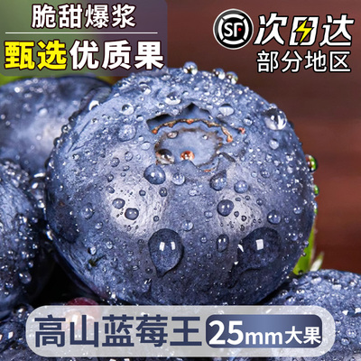 云南花香蓝莓特大果应当季高山新鲜水果孕妇怡蓝梅颗整箱顺丰包邮