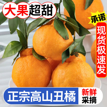 TBF湖北大丑橘子5斤当季新鲜整箱大果当季水果多汁青皮新鲜包邮