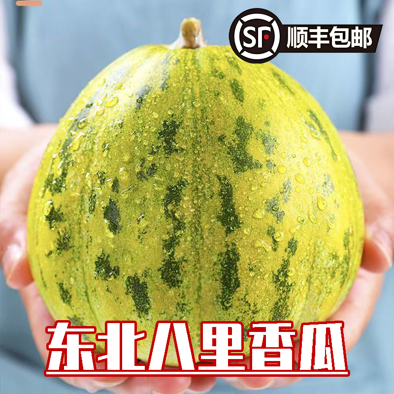 正宗东北八里香瓜花姑娘甜瓜老品种香瓜水果农家鲜摘发货顺丰包邮