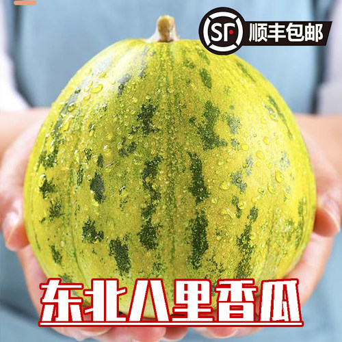 正宗东北八里香瓜花姑娘甜瓜老品种香瓜水果农家鲜摘发货顺丰包邮