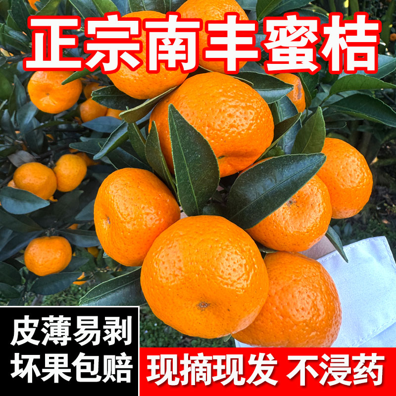 正宗南丰蜜桔子新鲜现摘现发小蜜橘广西桂林水果露天不打蜡不泡药