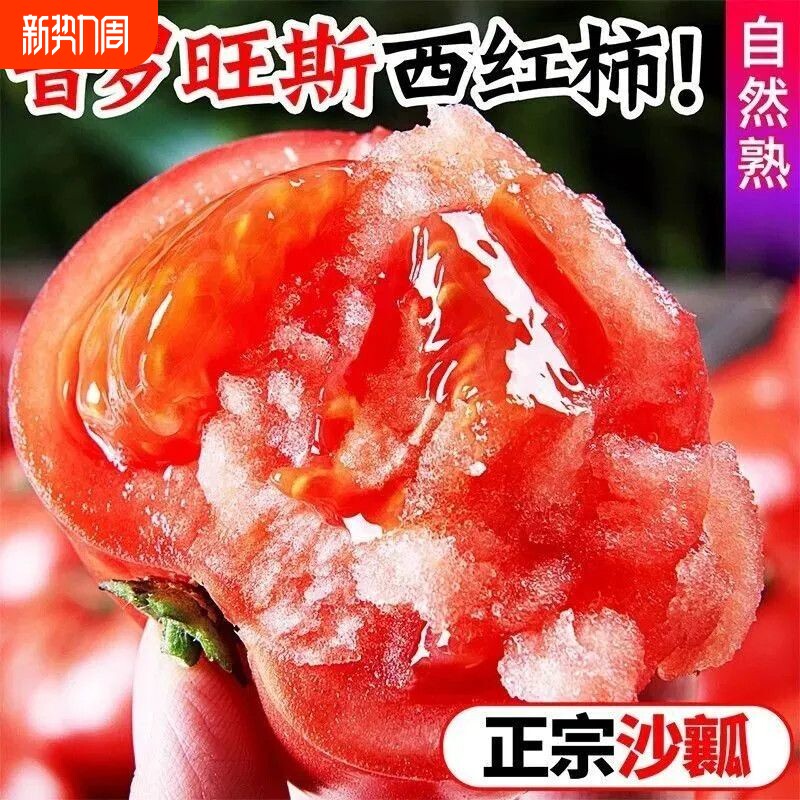 正宗泾阳普罗旺斯西红柿新鲜现摘沙瓤生吃番茄西红柿水果自然成熟