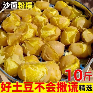 贵州黄心土豆新鲜高山农家老品种洋芋黄心黄皮马铃薯现挖10斤