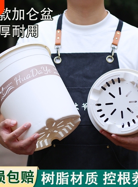 控根不闷根花盆塑料透气多孔阳台种植盆栽三代白色加仑盆带托盘