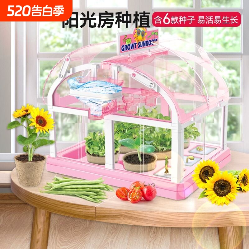 儿童阳光房种植花房种菜植物观察盒小学生玩具科学小实验套装生长