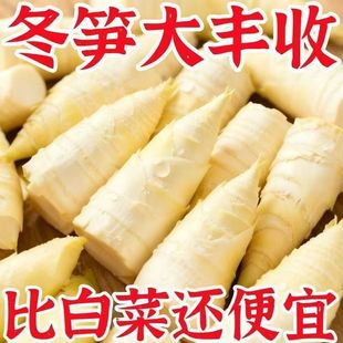 正宗江西非遗新鲜冬笋野生竹笋清水水煮冬笋袋装火锅煲汤食材