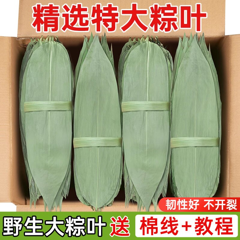 干粽叶包粽子专用大号野生干竹箬叶端午老式材料商批发本地粽叶